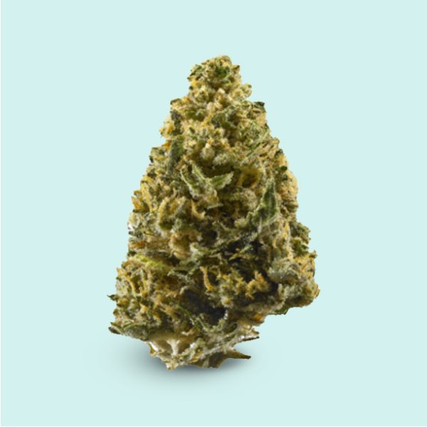 Northern Lights (Indica) Kingkongdispensary