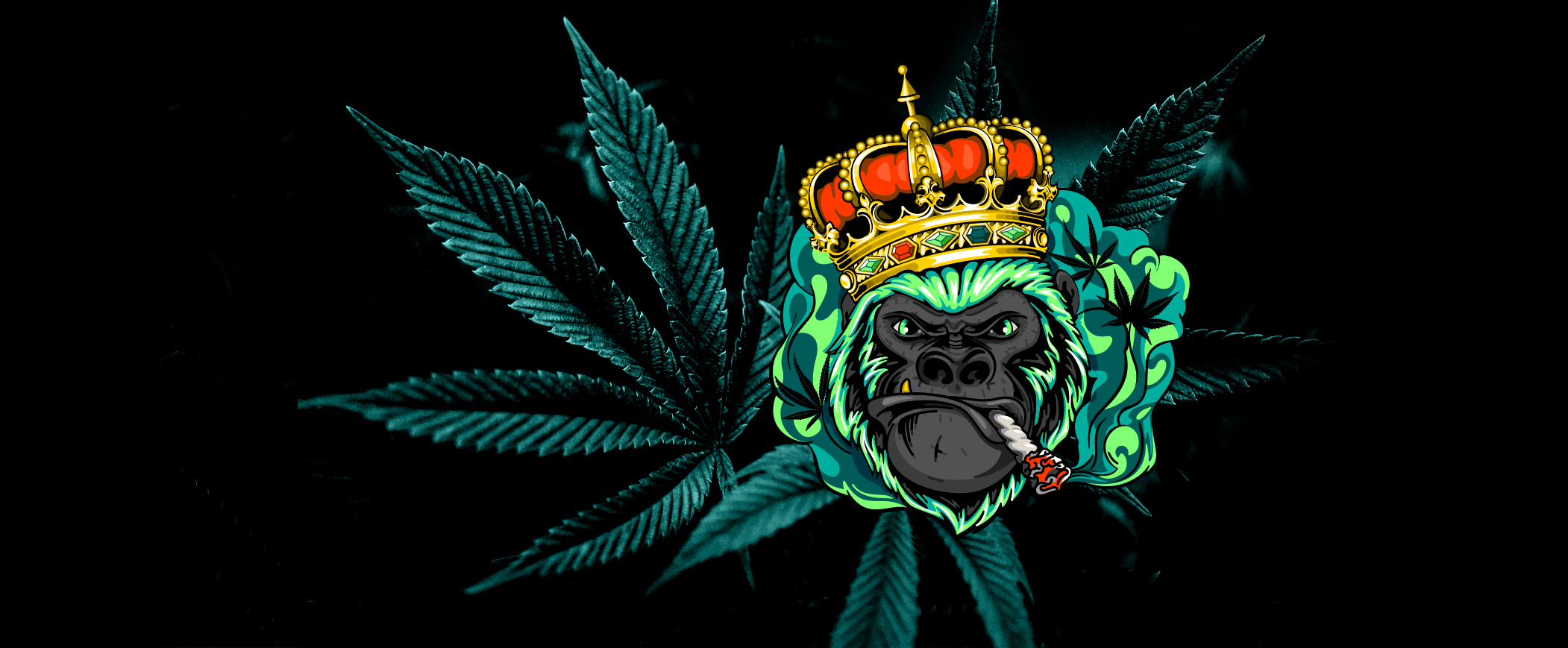 King Kong Dispensary Washington DC